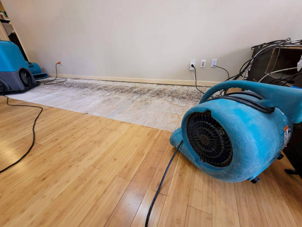 Professional Ceiling Water Damage Repair technician working in Oakdale, NY